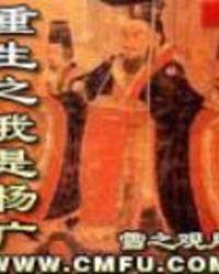 重生之我是杨广干独孤皇后