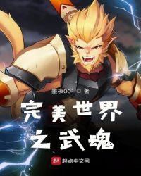 我完美世界之武魂