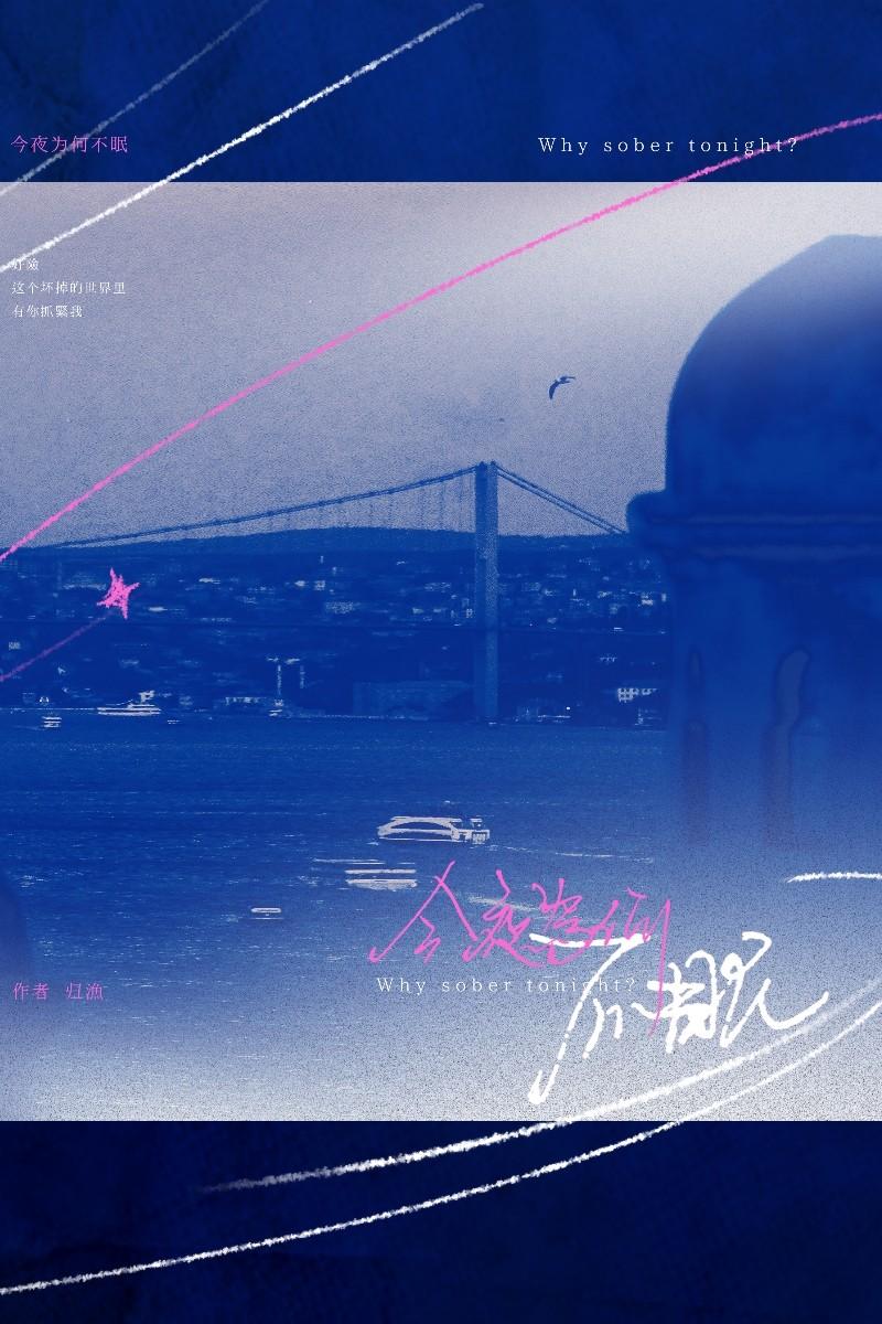今夜是个不眠夜什么意思