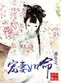 重生之宠妻如命by机关算尽
