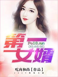 第一女婿txt全集
