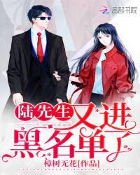 书名陆先生又进黑名单了