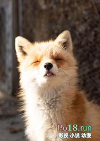 睡了反派男二之后岭南困