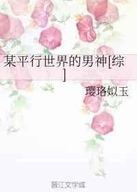 某平行世界的男神综完结番外