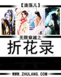 无限穿越之折花录天地23