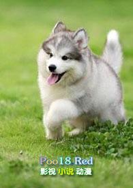 小奶狗年下h顾书舟