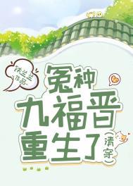 清穿 九福晋驾到作者沅冰