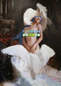 首尔的星星