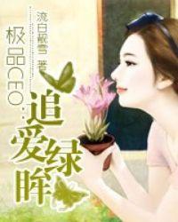 极品CEO追爱绿眸讲什么