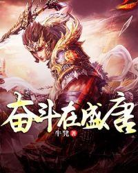 奋斗在盛唐豆瓣