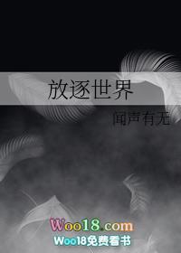 放逐游戏视频解说