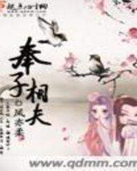 奉子相夫全文免费