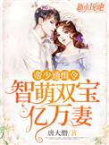 帝少通缉令天才萌宝免费阅读