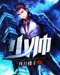 少帅1-48集全免费观看