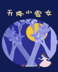 天降小娇妃免费阅读