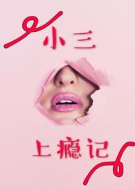 小三上瘾记-写小三专业户著-小三上瘾记最新章节-四方