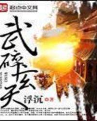 武碎玄天大结局