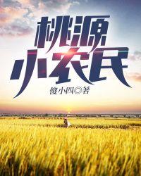 乡村桃远小农民