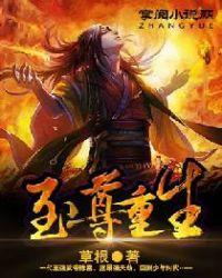 至尊重生等级和境界