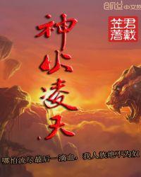 神火凌天未删减