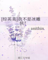 我不是冰雕侠综英美