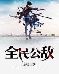 全民公敌结局