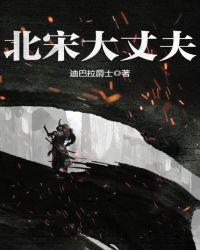 北宋大丈夫TXT百度