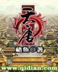 天唐锦绣全本