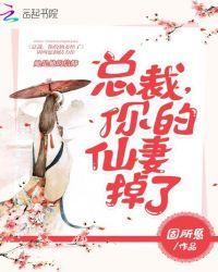 总裁的仙女