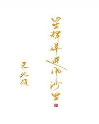 星辉落进风沙里讲什么