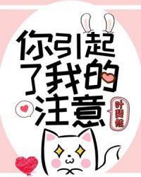 你引起了我的注意叶斐然