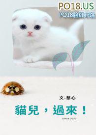猫儿过来舔舔碗的图片