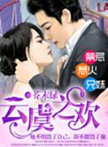 云虞之欢总裁的幼宠简介