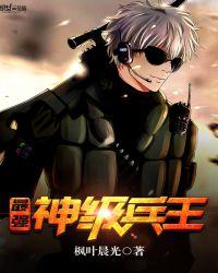 最强神级兵王枫叶晨光