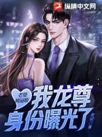 我的老婆是龙傲天