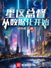 高级星区总督