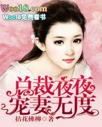 总裁夜夜夜夜