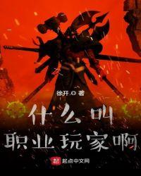 职业玩家能赚多少钱