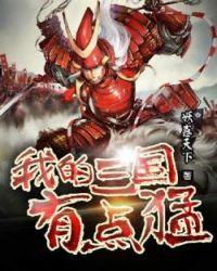 我的三国有点猛棉花糖