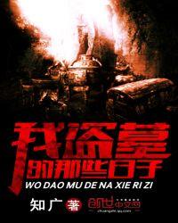 我盗墓的那几年txt