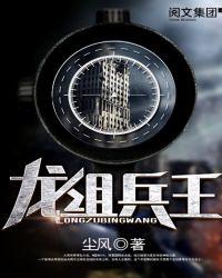 龙组兵王 尘风