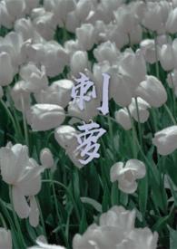 刺萝卜煮鸡蛋吃了有什么功效