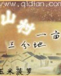 山村一亩三分地t×t