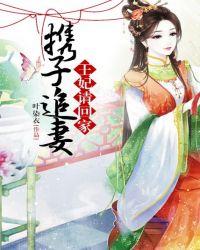 携子追妻王妃请回家-南林北竹