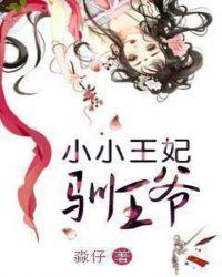 小小王妃九岁半