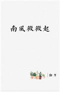 南风微微起全文免费无弹窗