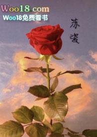 苏瓷是什么意思