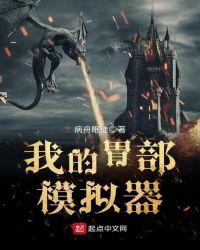 大肠模拟器