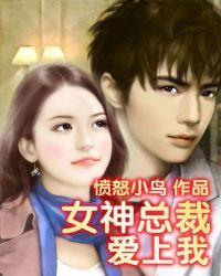 女神总裁爱上我愤怒的小鸟