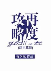 再度攻略txt